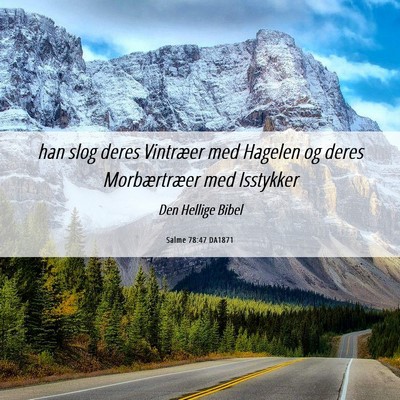 Picture 06 - Salme 78:47 DA1871 - han slog deres Vintræer med Hagelen og deres - Bible Verse Picture