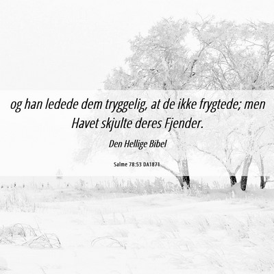 Picture 06 - Salme 78:53 DA1871 - og han ledede dem tryggelig, at de ikke frygtede; - Bible Verse Picture