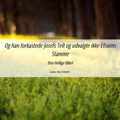Picture 06 - Salme 78:67 DA1871 - Og han forkastede Josefs Telt og udvalgte ikke - Bible Verse Picture