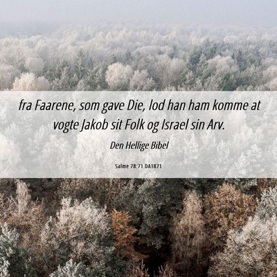Picture 06 - Salme 78:71 DA1871 - fra Faarene, som gave Die, lod han ham komme at - Bible Verse Picture