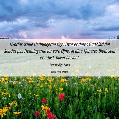 Picture 06 - Salme 79:10 DA1871 - Hvorfor skulle Hedningerne sige: Hvor er deres - Bible Verse Picture
