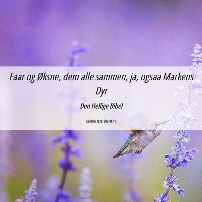 Picture 06 - Salme 8:8 DA1871 - Faar og Øksne, dem alle sammen, ja, ogsaa - Bible Verse Picture
