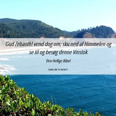 Picture 06 - Salme 80:15 DA1871 - Gud Zebaoth! vend dog om; sku ned af Himmelen og - Bible Verse Picture