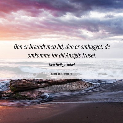 Picture 06 - Salme 80:17 DA1871 - Den er brændt med Ild, den er omhugget; de - Bible Verse Picture