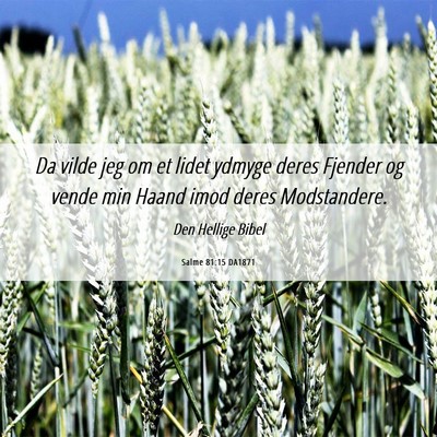Picture 06 - Salme 81:15 DA1871 - Da vilde jeg om et lidet ydmyge deres Fjender og - Bible Verse Picture