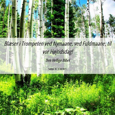 Picture 06 - Salme 81:4 DA1871 - Blæser i Trompeten ved Nymaane, ved Fuldmaane, - Bible Verse Picture