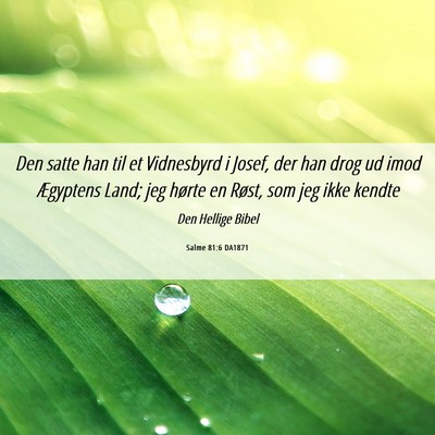 Picture 06 - Salme 81:6 DA1871 - Den satte han til et Vidnesbyrd i Josef, der han - Bible Verse Picture