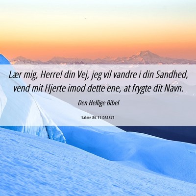 Picture 06 - Salme 86:11 DA1871 - Lær mig, Herre! din Vej, jeg vil vandre i din - Bible Verse Picture