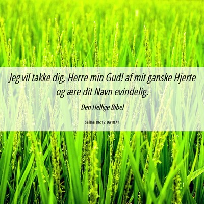 Picture 06 - Salme 86:12 DA1871 - Jeg vil takke dig, Herre min Gud! af mit ganske - Bible Verse Picture