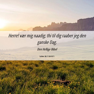 Picture 06 - Salme 86:3 DA1871 - Herre! vær mig naadig; thi til dig raaber jeg - Bible Verse Picture