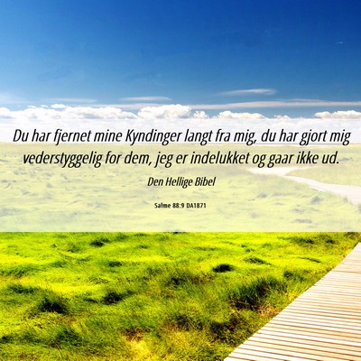 Picture 06 - Salme 88:9 DA1871 - Du har fjernet mine Kyndinger langt fra mig, du - Bible Verse Picture