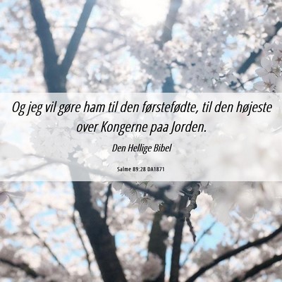 Picture 06 - Salme 89:28 DA1871 - Og jeg vil gøre ham til den førstefødte, til - Bible Verse Picture