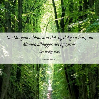 Picture 06 - Salme 90:6 DA1871 - Om Morgenen blomstrer det, og det gaar bort, om - Bible Verse Picture