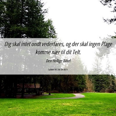 Picture 06 - Salme 91:10 DA1871 - Dig skal intet ondt vederfares, og der skal ingen - Bible Verse Picture
