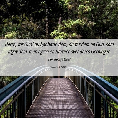 Picture 06 - Salme 99:8 DA1871 - Herre, vor Gud! du bønhørte dem, du var dem en - Bible Verse Picture