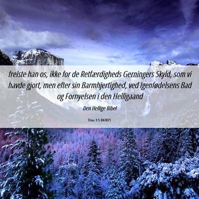 Picture 06 - Titus 3:5 DA1871 - frelste han os, ikke for de Retfærdigheds - Bible Verse Picture