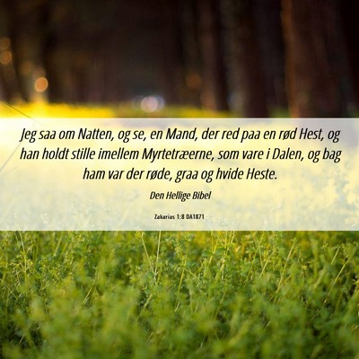Picture 06 - Zakarias 1:8 DA1871 - Jeg saa om Natten, og se, en Mand, der red paa en - Bible Verse Picture