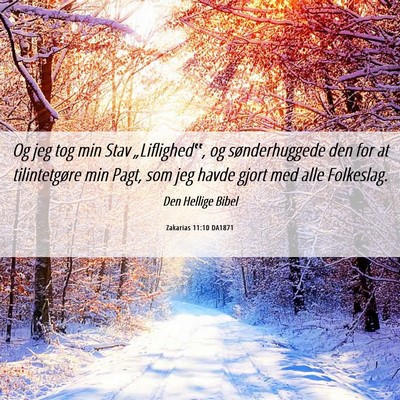 Picture 06 - Zakarias 11:10 DA1871 - Og jeg tog min Stav „Liflighed‟, og - Bible Verse Picture