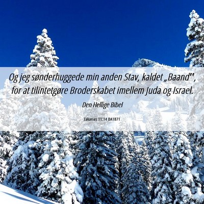 Picture 06 - Zakarias 11:14 DA1871 - Og jeg sønderhuggede min anden Stav, kaldet - Bible Verse Picture