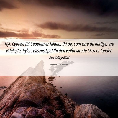 Picture 06 - Zakarias 11:2 DA1871 - Hyl, Cypres! thi Cederen er falden, thi de, som - Bible Verse Picture