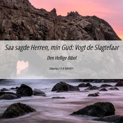 Picture 06 - Zakarias 11:4 DA1871 - Saa sagde Herren, min Gud: Vogt de - Bible Verse Picture