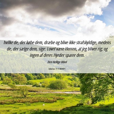 Picture 06 - Zakarias 11:5 DA1871 - hvilke de, der købe dem, dræbe og blive ikke - Bible Verse Picture