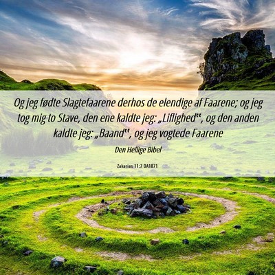 Picture 06 - Zakarias 11:7 DA1871 - Og jeg fødte Slagtefaarene derhos de elendige af - Bible Verse Picture