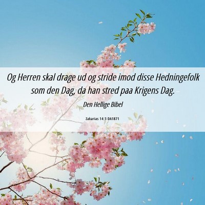 Picture 06 - Zakarias 14:3 DA1871 - Og Herren skal drage ud og stride imod disse - Bible Verse Picture