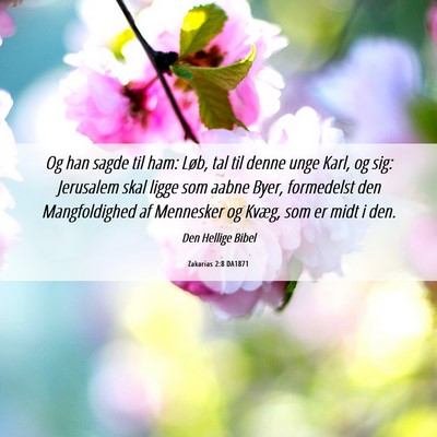 Picture 06 - Zakarias 2:8 DA1871 - Og han sagde til ham: Løb, tal til denne unge - Bible Verse Picture
