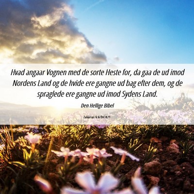Picture 06 - Zakarias 6:6 DA1871 - Hvad angaar Vognen med de sorte Heste for, da gaa - Bible Verse Picture