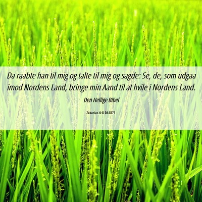 Picture 06 - Zakarias 6:8 DA1871 - Da raabte han til mig og talte til mig og sagde: - Bible Verse Picture