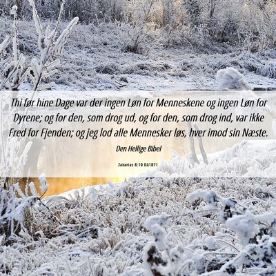 Picture 06 - Zakarias 8:10 DA1871 - Thi før hine Dage var der ingen Løn for - Bible Verse Picture