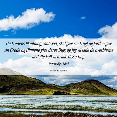 Picture 06 - Zakarias 8:12 DA1871 - Thi Fredens Plantning, Vintræet, skal give sin - Bible Verse Picture