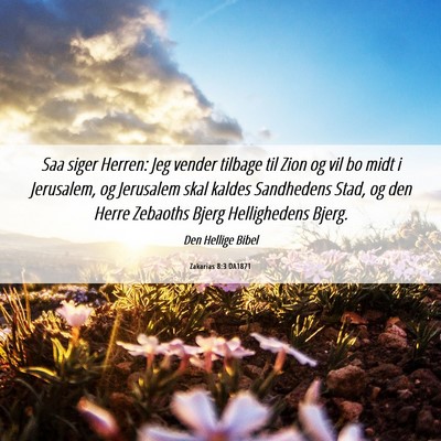 Picture 06 - Zakarias 8:3 DA1871 - Saa siger Herren: Jeg vender tilbage til Zion og - Bible Verse Picture