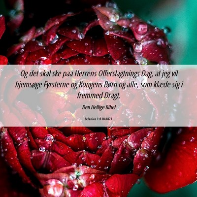 Picture 06 - Zefanias 1:8 DA1871 - Og det skal ske paa Herrens Offerslagtnings Dag, - Bible Verse Picture