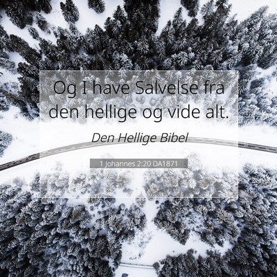 Picture 07 - 1 Johannes 2:20 DA1871 - Og I have Salvelse fra den hellige og vide - Bible Verse Picture