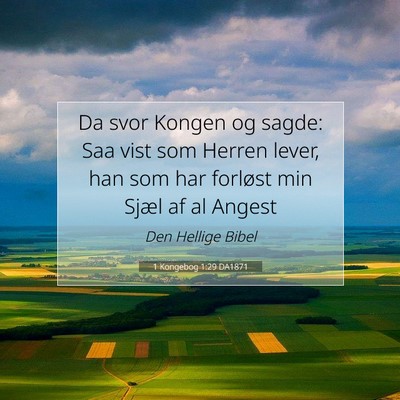Picture 07 - 1 Kongebog 1:29 DA1871 - Da svor Kongen og sagde: Saa vist som Herren - Bible Verse Picture