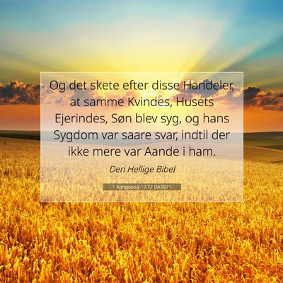 Picture 07 - 1 Kongebog 17:17 DA1871 - Og det skete efter disse Handeler, at samme - Bible Verse Picture