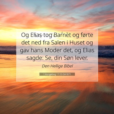 Picture 07 - 1 Kongebog 17:23 DA1871 - Og Elias tog Barnet og førte det ned fra Salen i - Bible Verse Picture