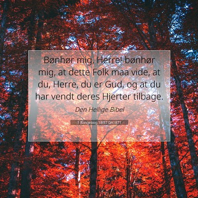 Picture 07 - 1 Kongebog 18:37 DA1871 - Bønhør mig, Herre! bønhør mig, at dette Folk - Bible Verse Picture