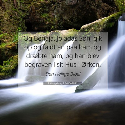 Picture 07 - 1 Kongebog 2:34 DA1871 - Og Benaja, Jojadas Søn, gik op og faldt an paa - Bible Verse Picture