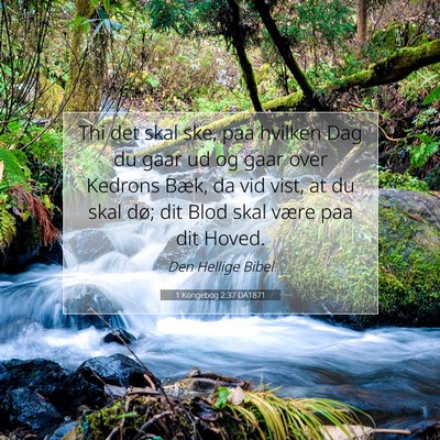 Picture 07 - 1 Kongebog 2:37 DA1871 - Thi det skal ske, paa hvilken Dag du gaar ud og - Bible Verse Picture