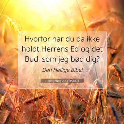 Picture 07 - 1 Kongebog 2:43 DA1871 - Hvorfor har du da ikke holdt Herrens Ed og det - Bible Verse Picture