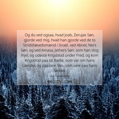 Picture 07 - 1 Kongebog 2:5 DA1871 - Og du ved ogsaa, hvad Joab, Zerujas Søn, gjorde - Bible Verse Picture