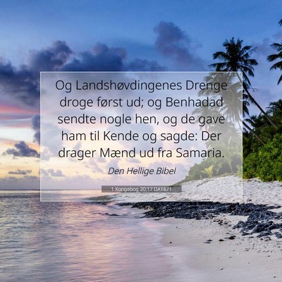 Picture 07 - 1 Kongebog 20:17 DA1871 - Og Landshøvdingenes Drenge droge først ud; og - Bible Verse Picture