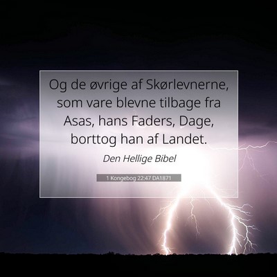 Picture 07 - 1 Kongebog 22:47 DA1871 - Og de øvrige af Skørlevnerne, som vare blevne - Bible Verse Picture