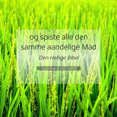 Picture 07 - 1 Korintherne 10:3 DA1871 - og spiste alle den samme aandelige - Bible Verse Picture