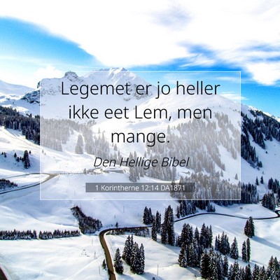 Picture 07 - 1 Korintherne 12:14 DA1871 - Legemet er jo heller ikke eet Lem, men - Bible Verse Picture