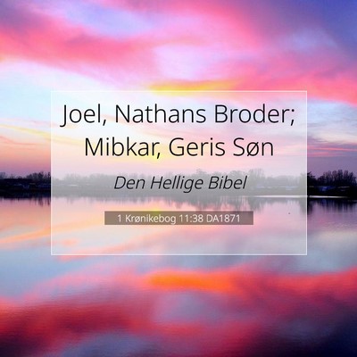 Picture 07 - 1 Krønikebog 11:38 DA1871 - Joel, Nathans Broder; Mibkar, Geris - Bible Verse Picture
