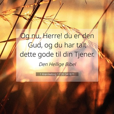 Picture 07 - 1 Krønikebog 17:26 DA1871 - Og nu, Herre! du er den Gud, og du har talt dette - Bible Verse Picture